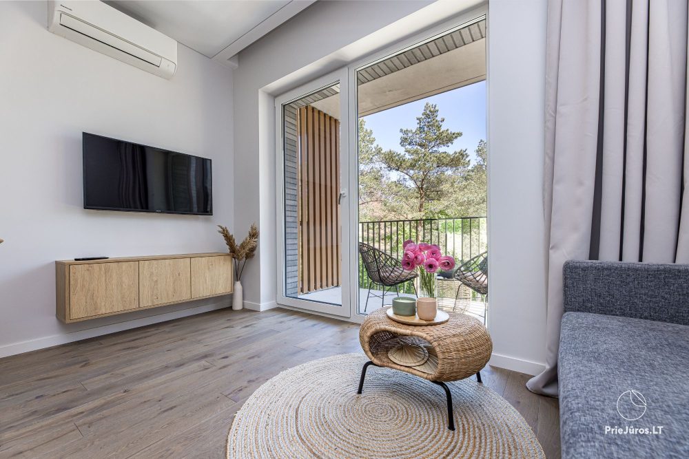 Vanagupes pusyno spa apartment in Palanga