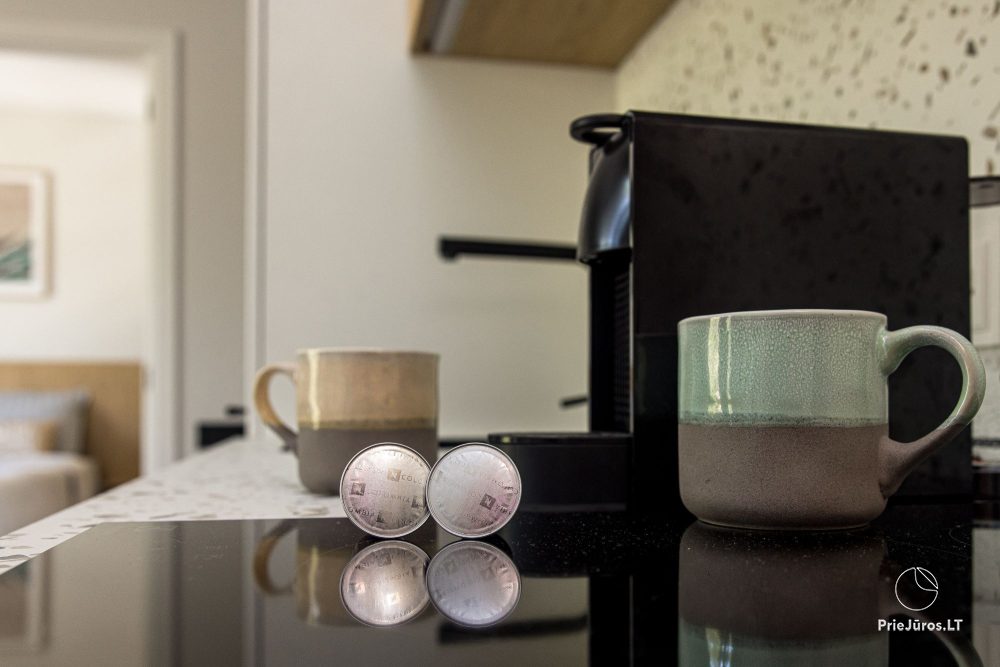Vanagupes pusyno spa apartment in Palanga