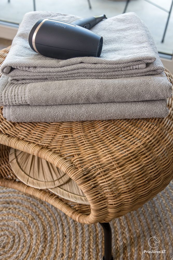 Vanagupes pusyno spa apartment in Palanga