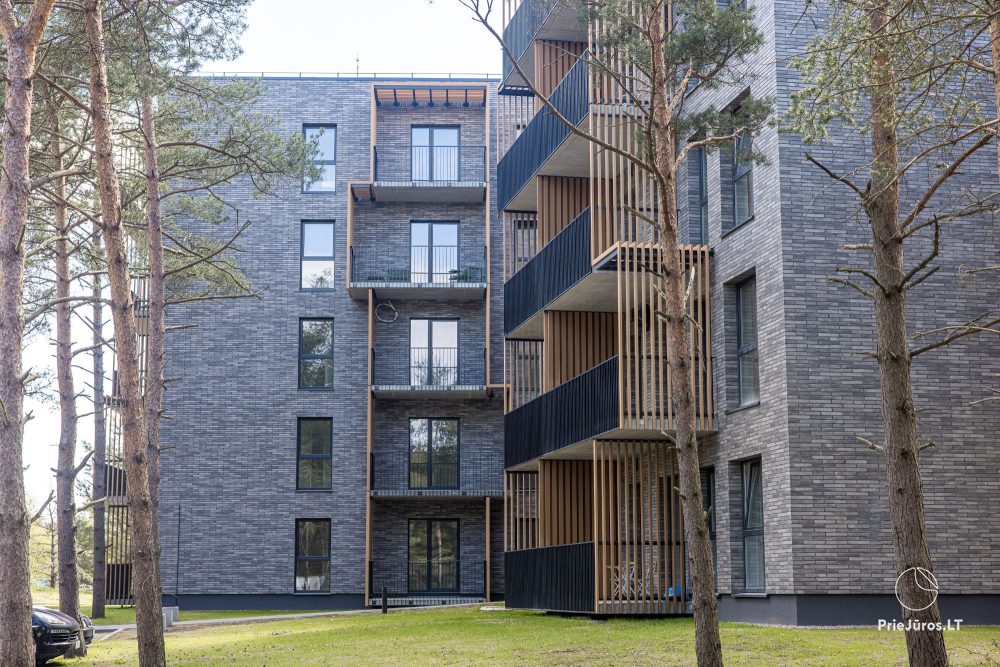 Vanagupes pusyno spa apartment in Palanga