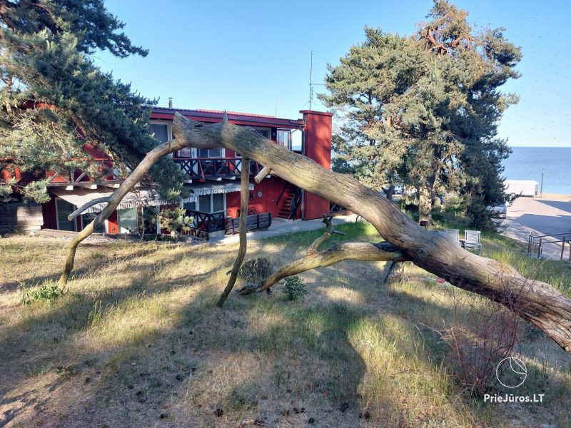 Rest in Nida Pušelė