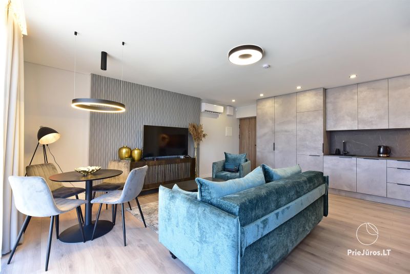 Modern flat for rent in Kunigiskiai