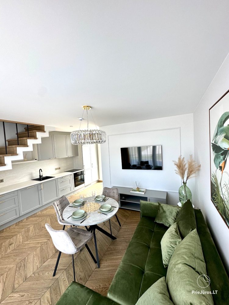 D&A apartment and D&A 2 apartment for Your rest in Kunigiskiai - 1
