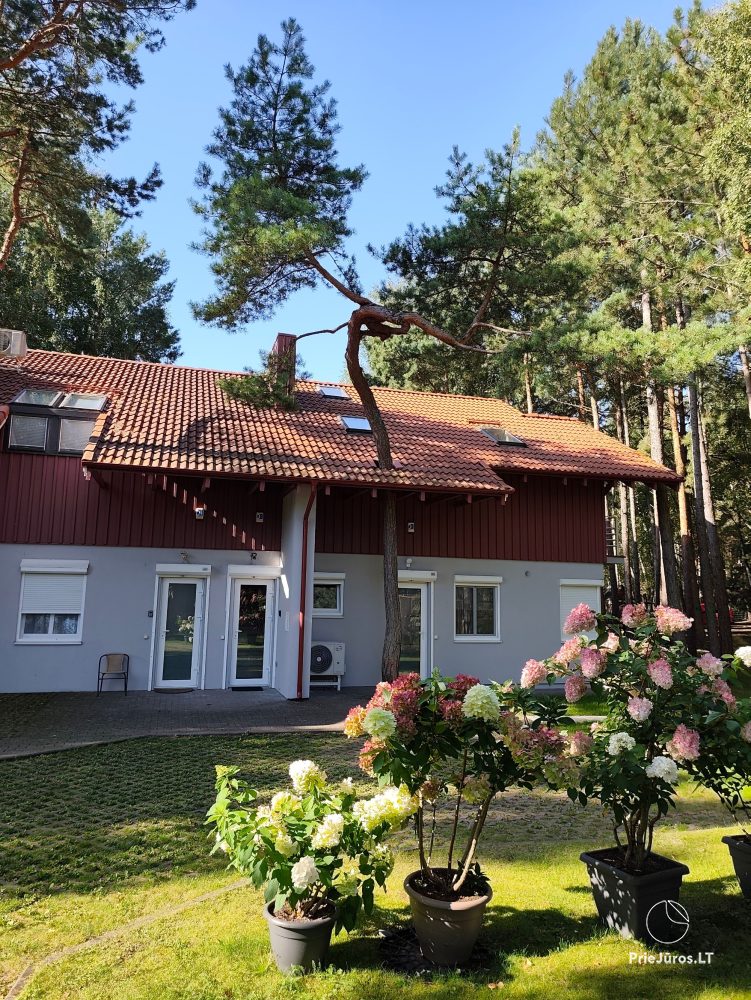 “Pušies namai” in Nida near the sea