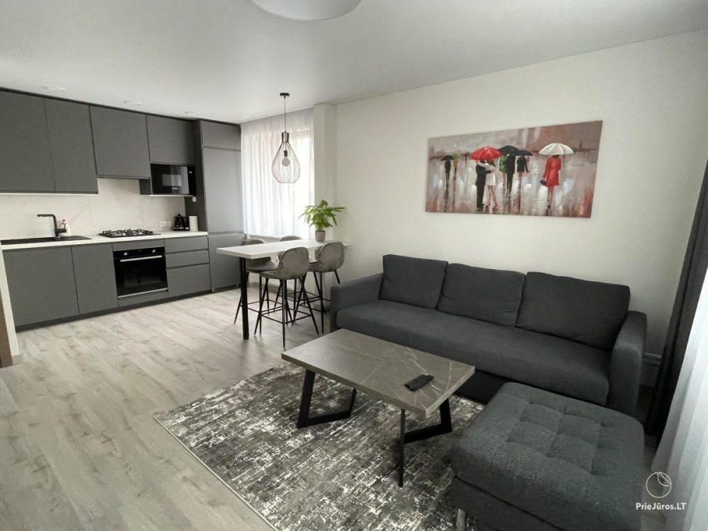 Short-term apartment rental in Klaipėda - 1