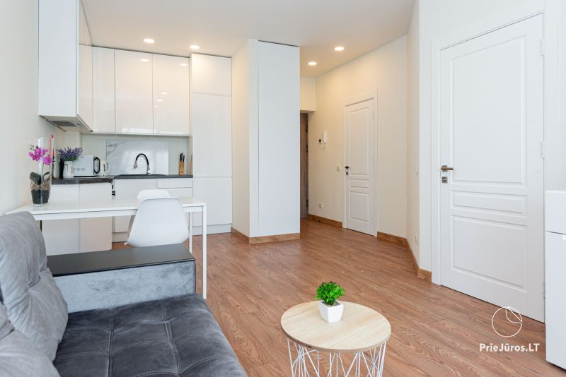 Two rooms apartments for rent in Palanga