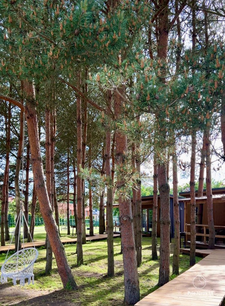 Holiday houses, rooms for rent in Sventoji, Pajurio puseles