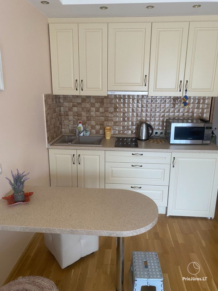 Cosy apartment in beautiful place of Palanga