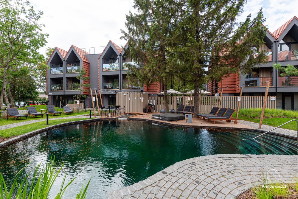 Apartment Gintarine Liepa in Kunigiskiai