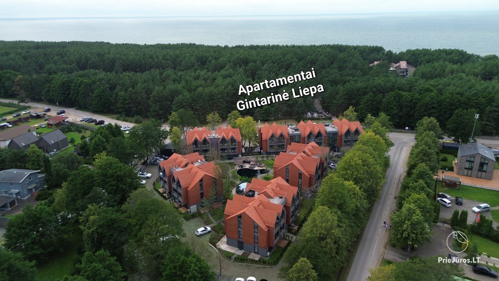 Apartment Gintarine Liepa in Kunigiskiai