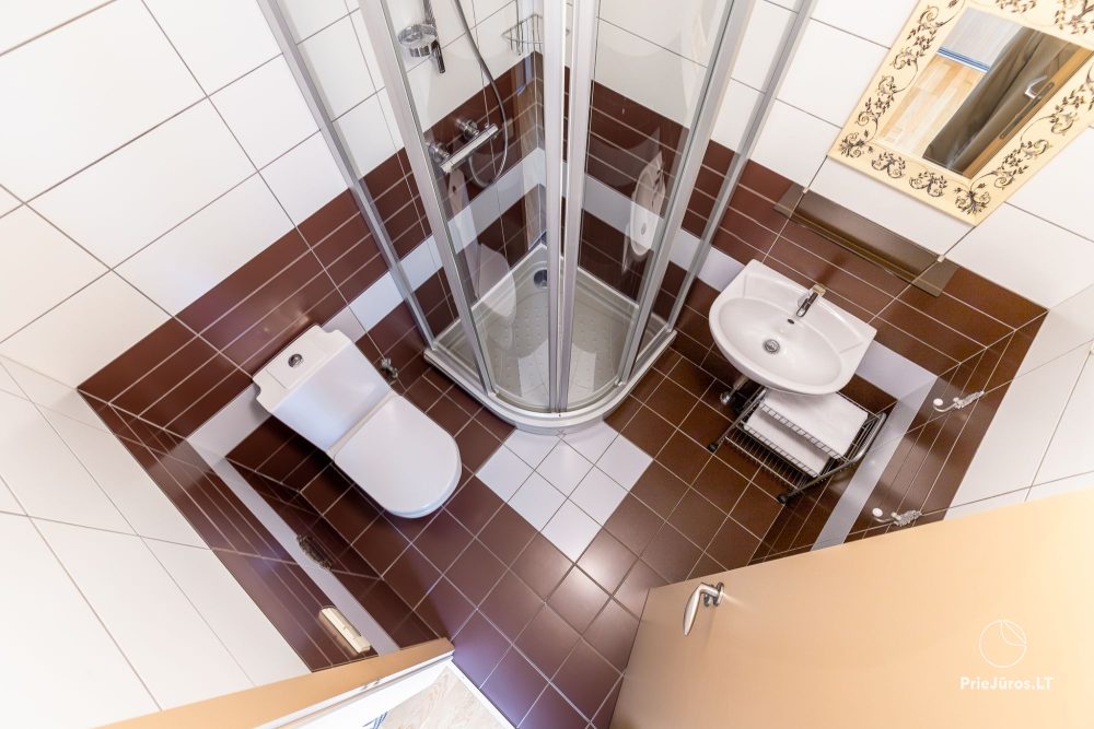 «Camelia Centre Apartment» двуспальные, очень просторные апартаменты