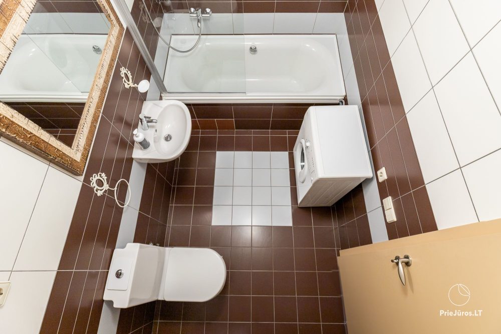 «Camelia Centre Apartment» двуспальные, очень просторные апартаменты