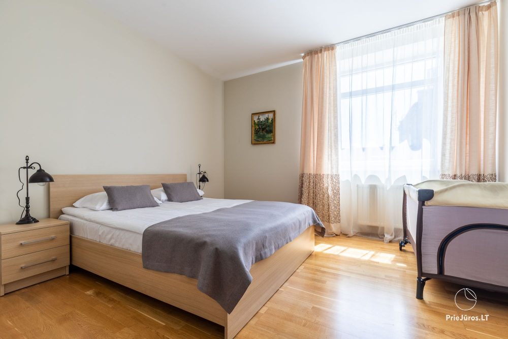 «Camelia Centre Apartment» двуспальные, очень просторные апартаменты
