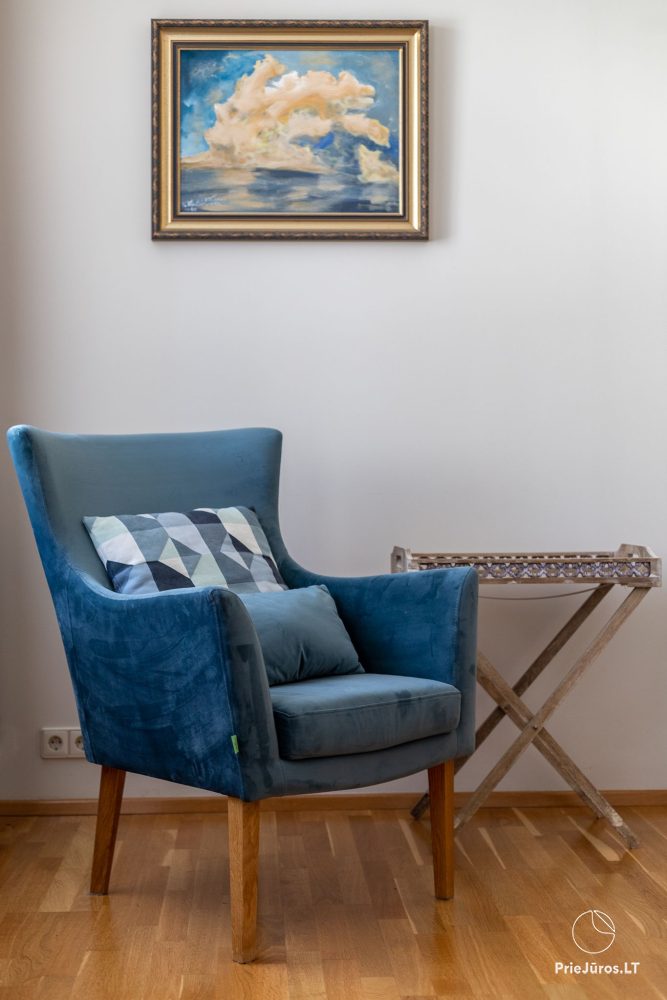 «Camelia Centre Apartment» двуспальные, очень просторные апартаменты