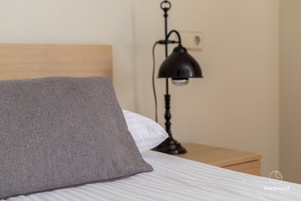 «Camelia Centre Apartment» двуспальные, очень просторные апартаменты