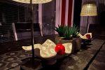 The cottage Vyšnia pajūrje is pet-friendly