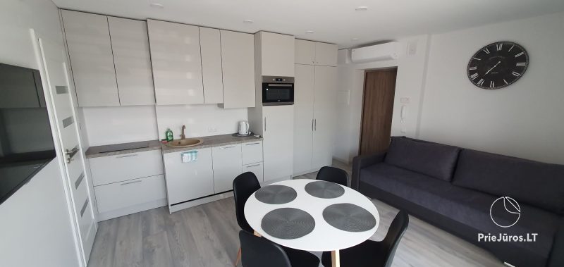 Bright, modern two rooms apartment in Kunigiskiai