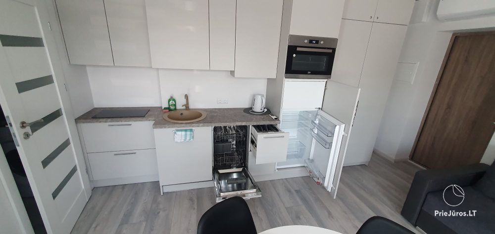 Bright, modern two rooms apartment in Kunigiskiai