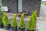 Светлая, современная двухкомнатная квартира в Кунигишкяй - 6