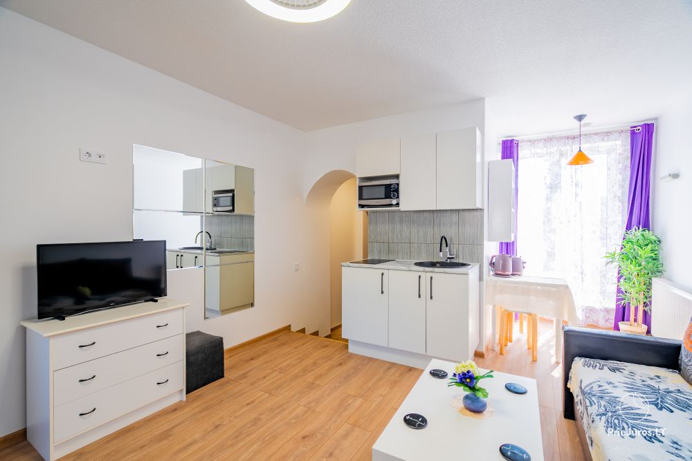 Apartment for your rest in Palanga