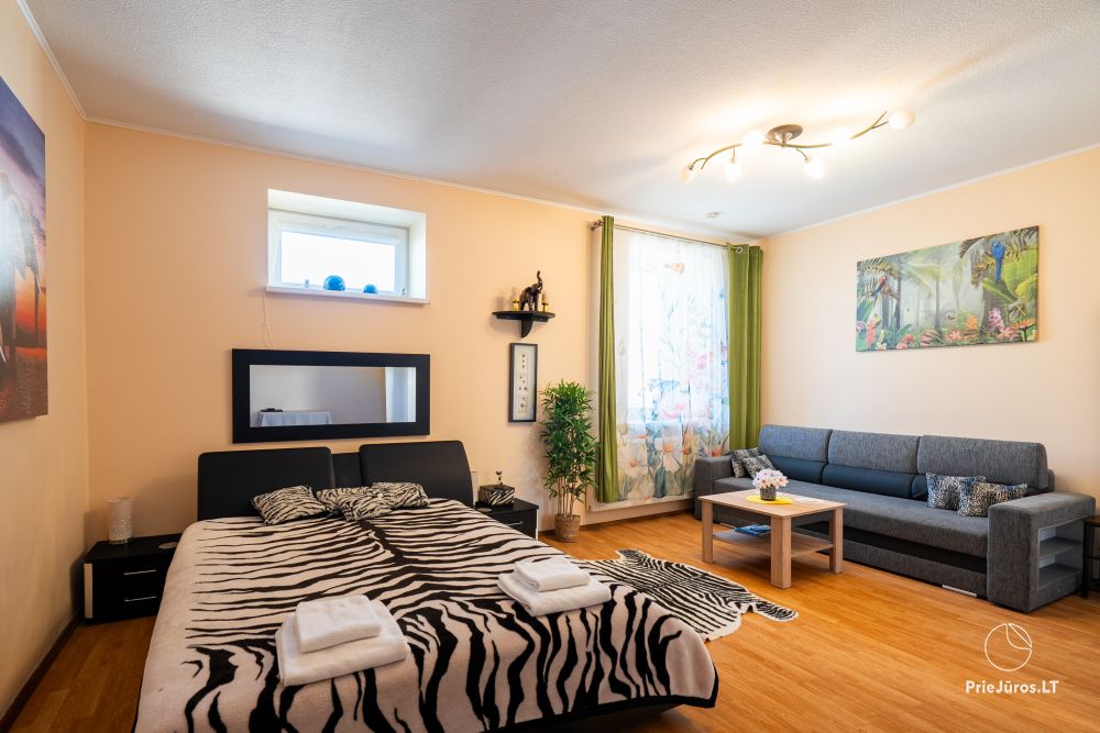 Apartment for your rest in Palanga