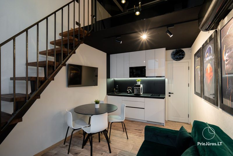 Studio apartment - loft in Palanga Black & White