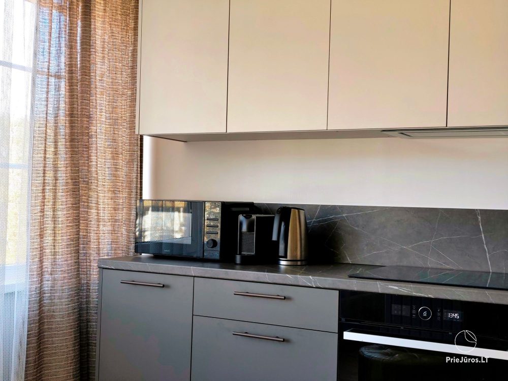 Apartment rental in Nida