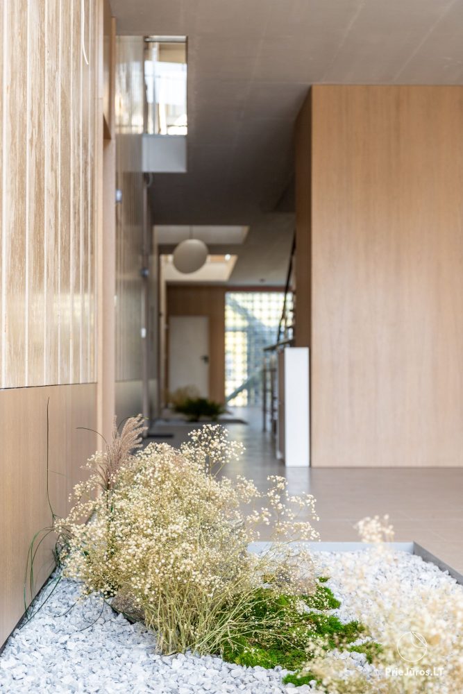 Palangos Ašis luxury apartments
