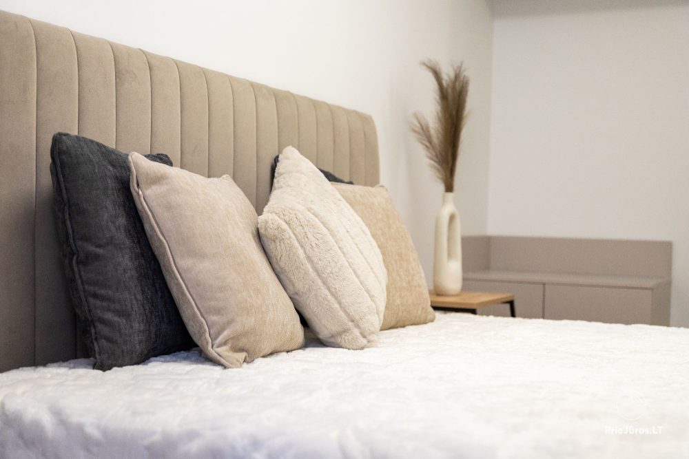 Palangos Ašis luxury apartments