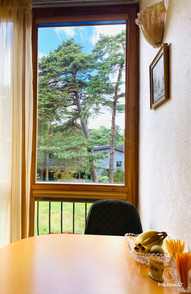 Flat Birute for rent in Palanga, in Birutes avenue, next to the Botanical park