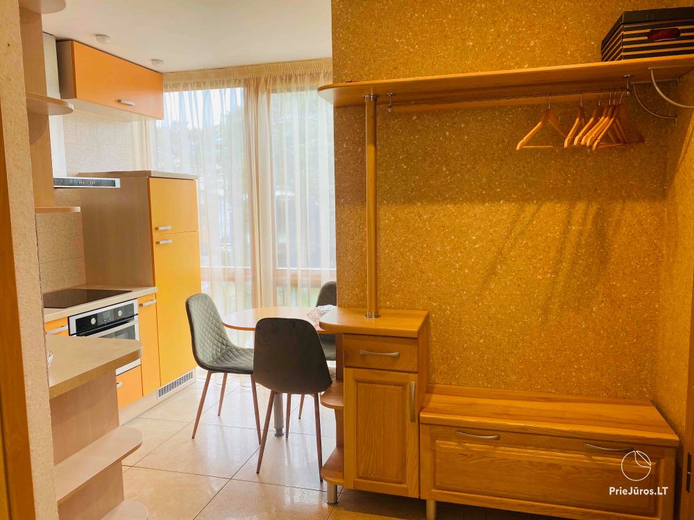 Flat Birute for rent in Palanga, in Birutes avenue, next to the Botanical park