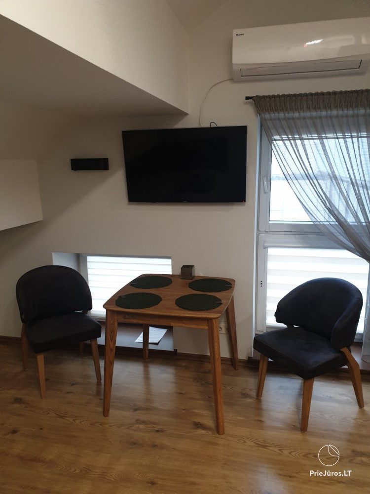 Studios for rent in Palanga - 1