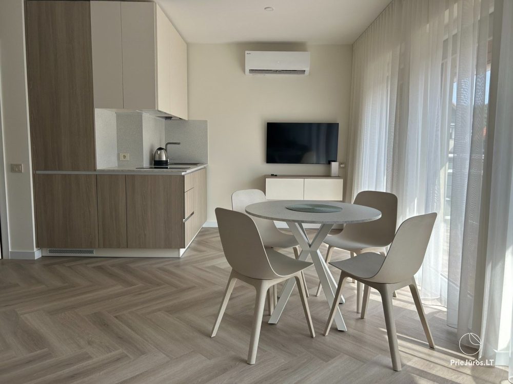 Apartment in the center of Nida town - 1