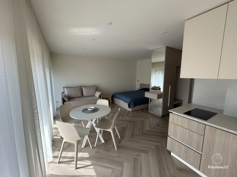 Apartment in the center of Nida town