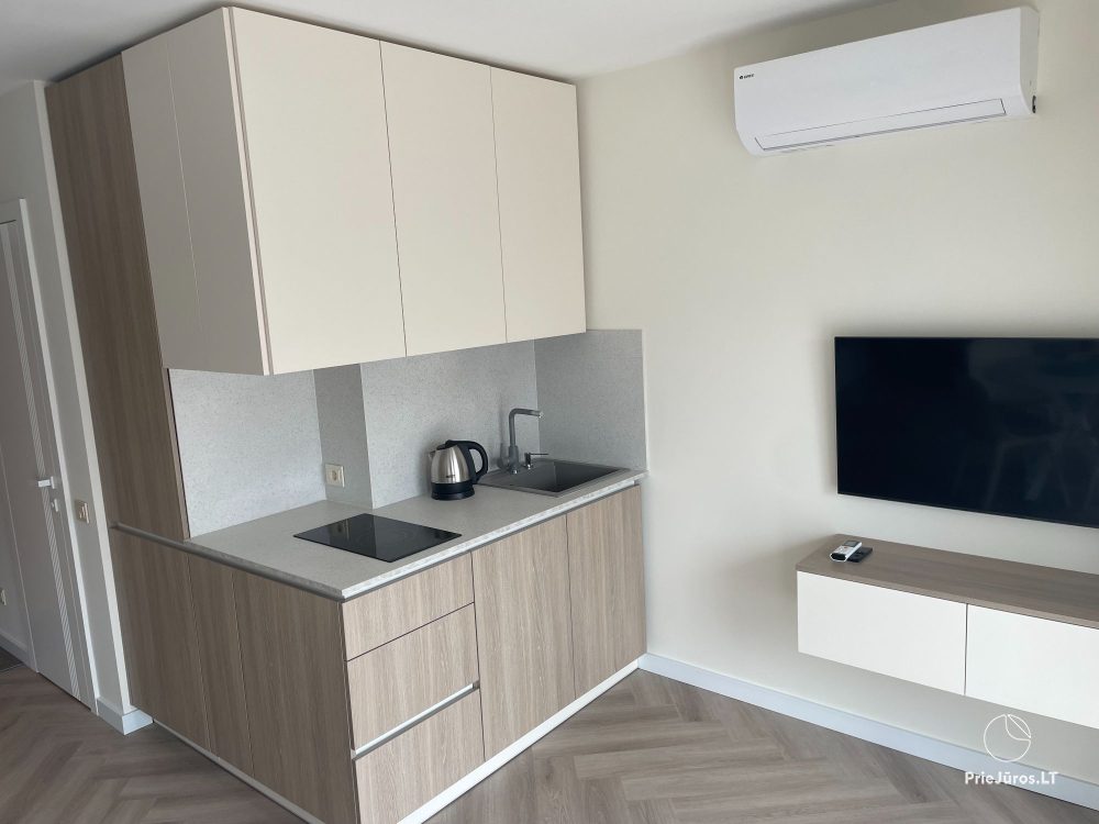 Apartment in the center of Nida town