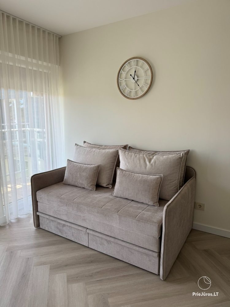 Apartment in the center of Nida town