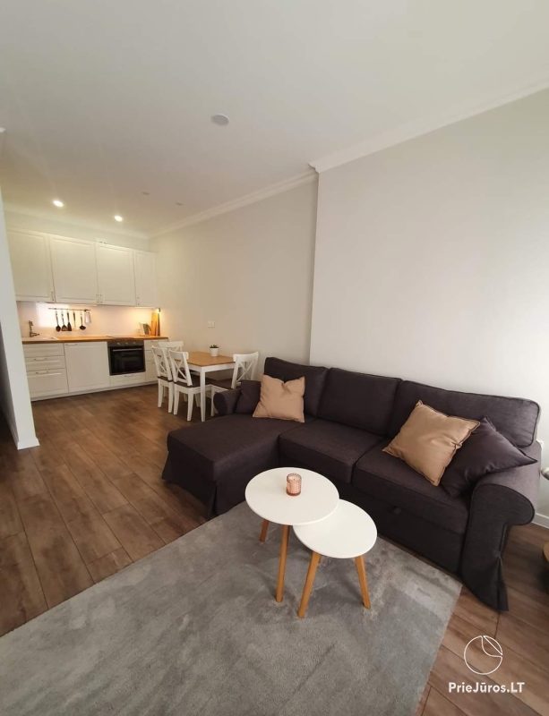 Studio type apartment in Palanga