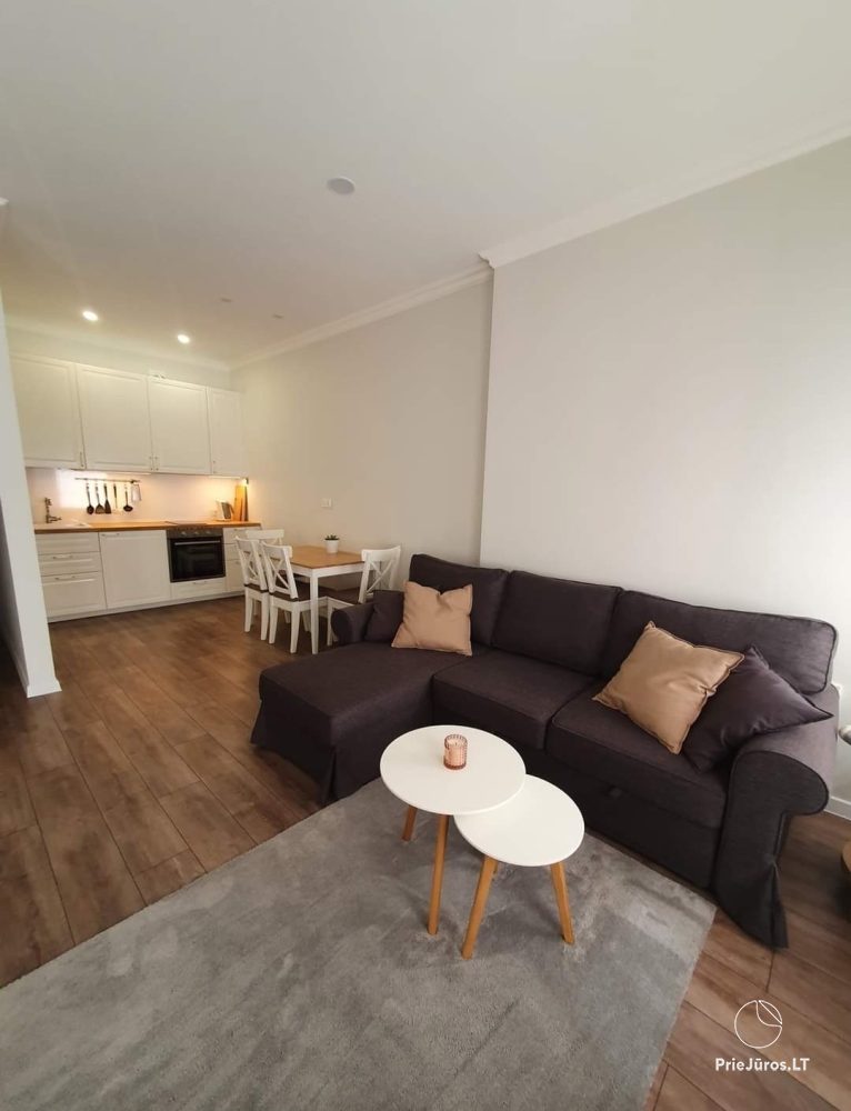 Studio type apartment in Palanga - 1