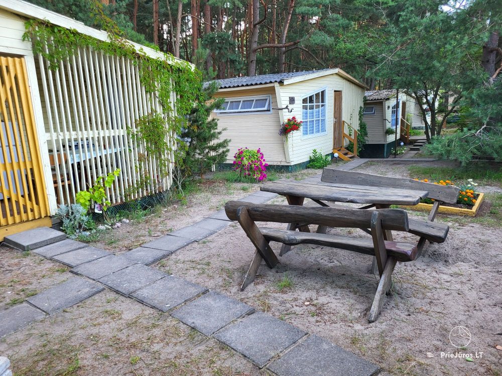 Wooden bungalows near the Baltic sea Penguin