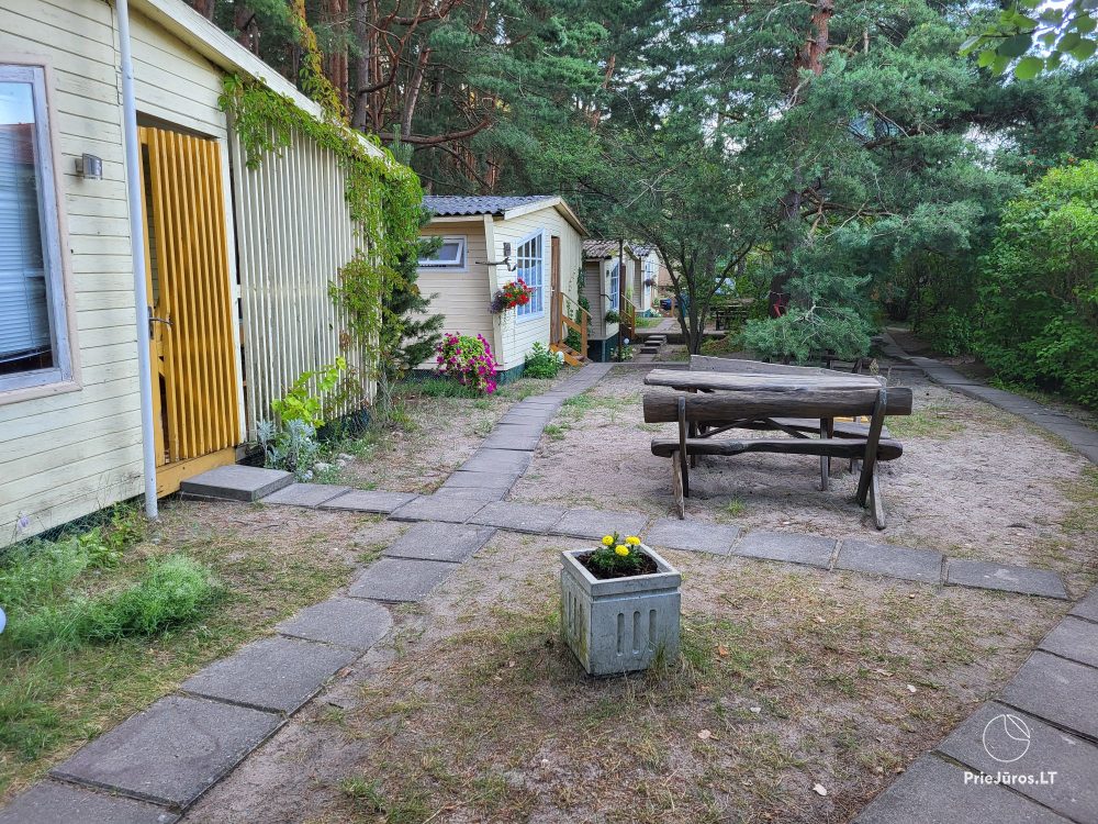 Wooden bungalows near the Baltic sea Penguin