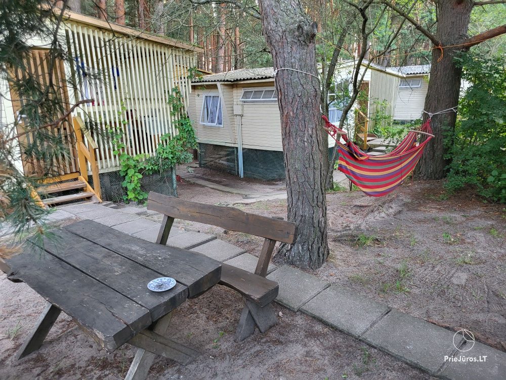 Wooden bungalows near the Baltic sea Penguin