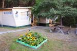Wooden bungalows near the Baltic sea Penguin - 5