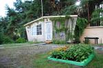 Wooden bungalows near the Baltic sea Penguin - 4