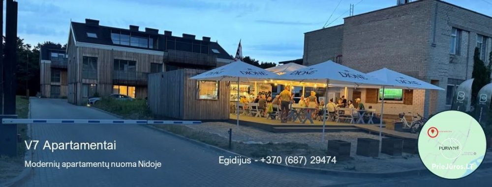 V7 Apartments in Nida - 1