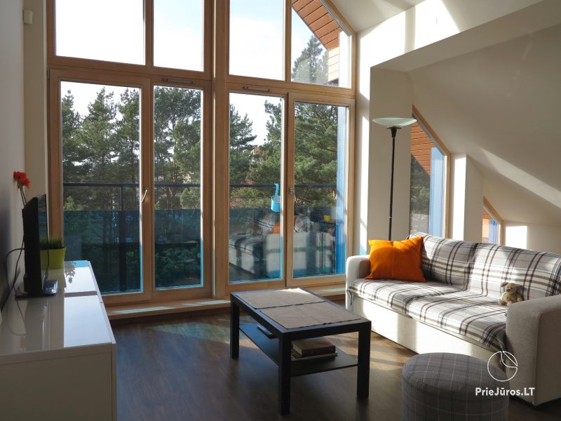 Apartment with a view of the pine forest