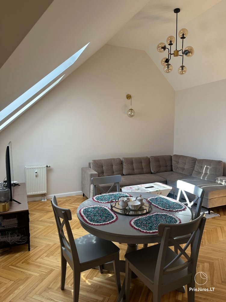 Attic apartments - 1