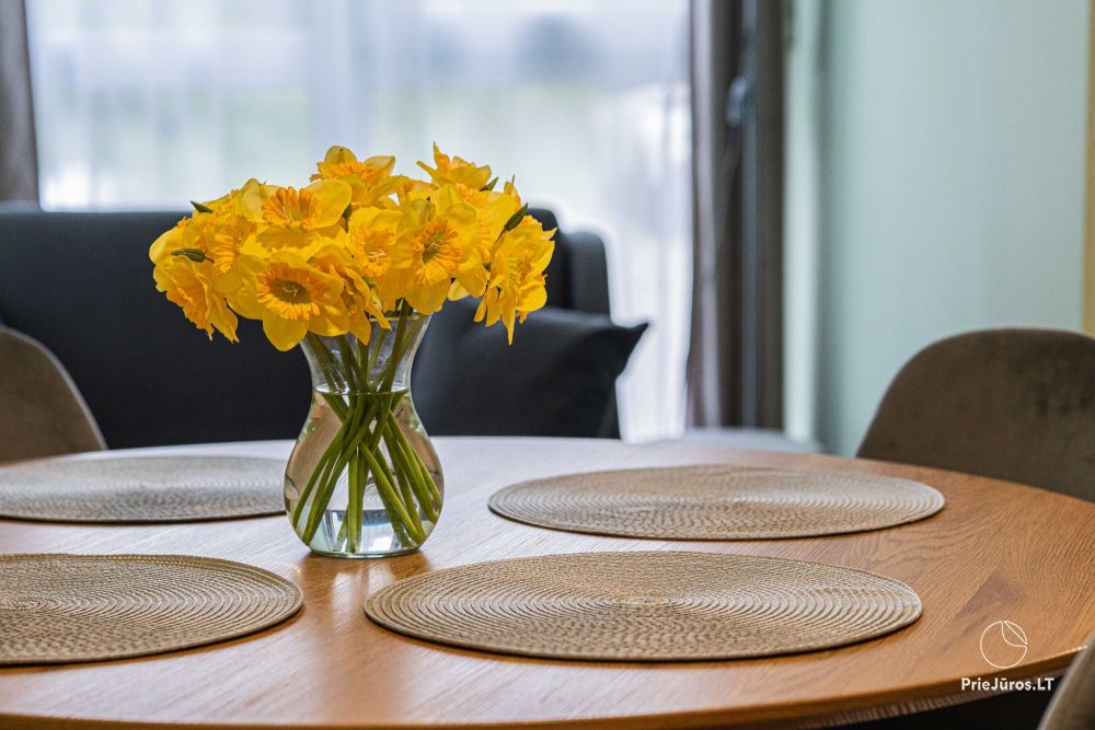 Cozy 1-room apartment in Šventoji - 1