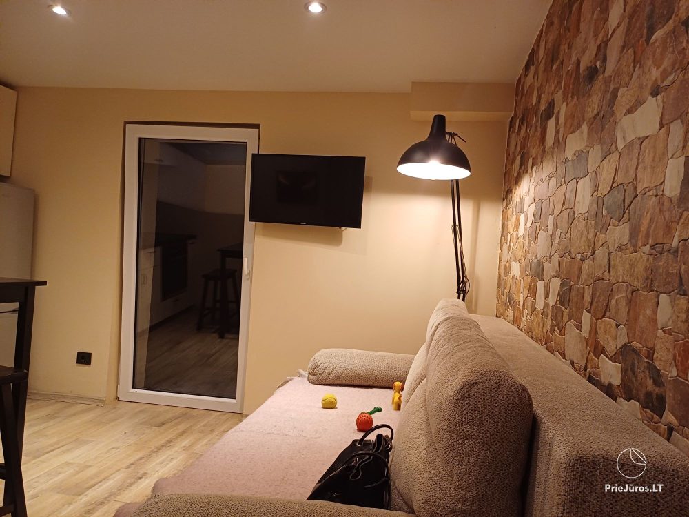 On the ground floor (basement), a 16 sq.m. room for rent - 1