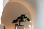 Коттеджи «Ciau miau apartments» - апартаменты в Кунигишкес
