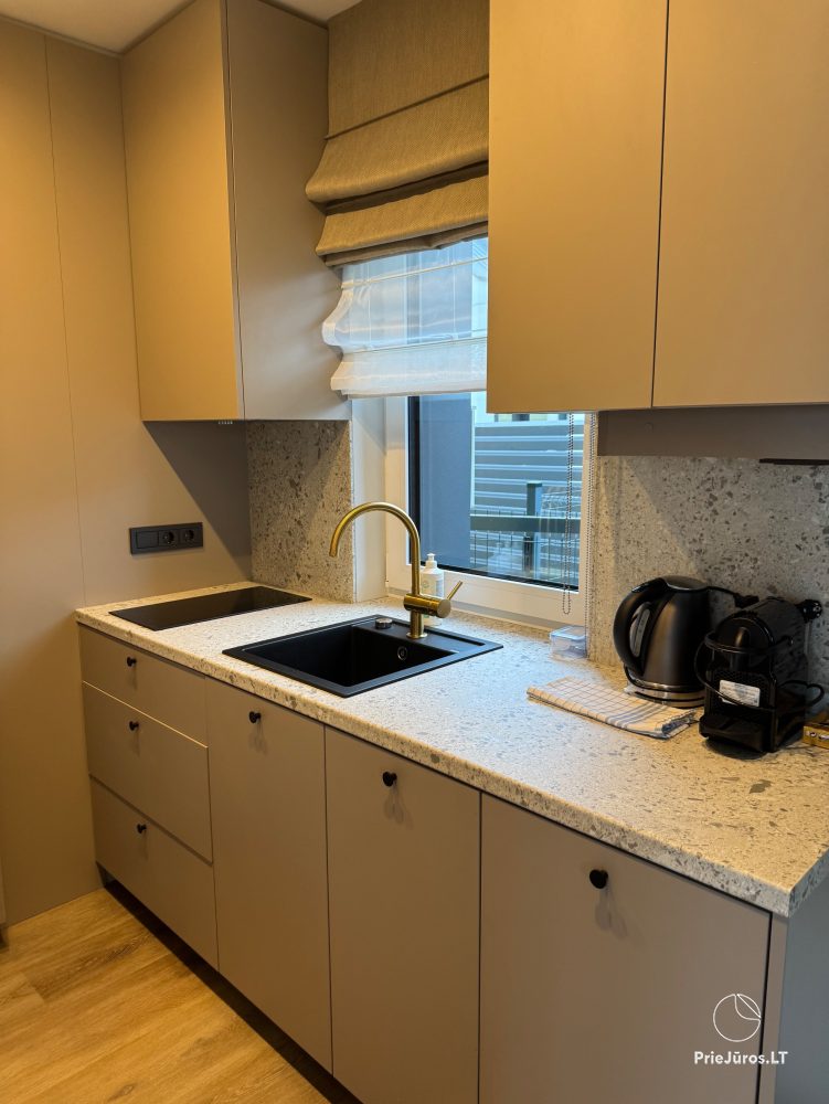 New cottages for rent on Vingio Street, Kunigiškiai